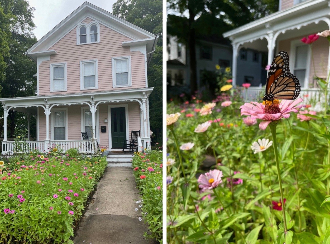 Readers share their gorgeous gardens