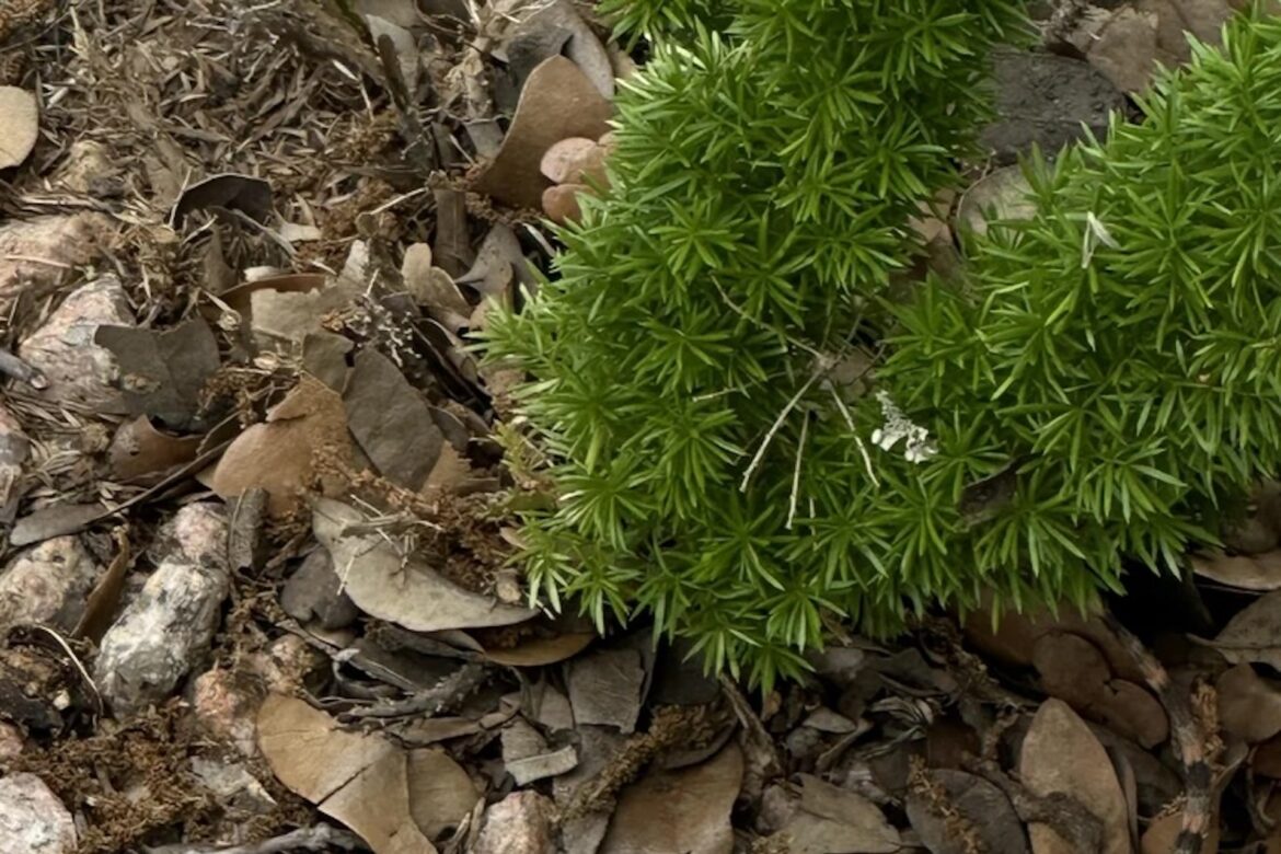‘They’re so good at camouflaging’ "They crack me up."