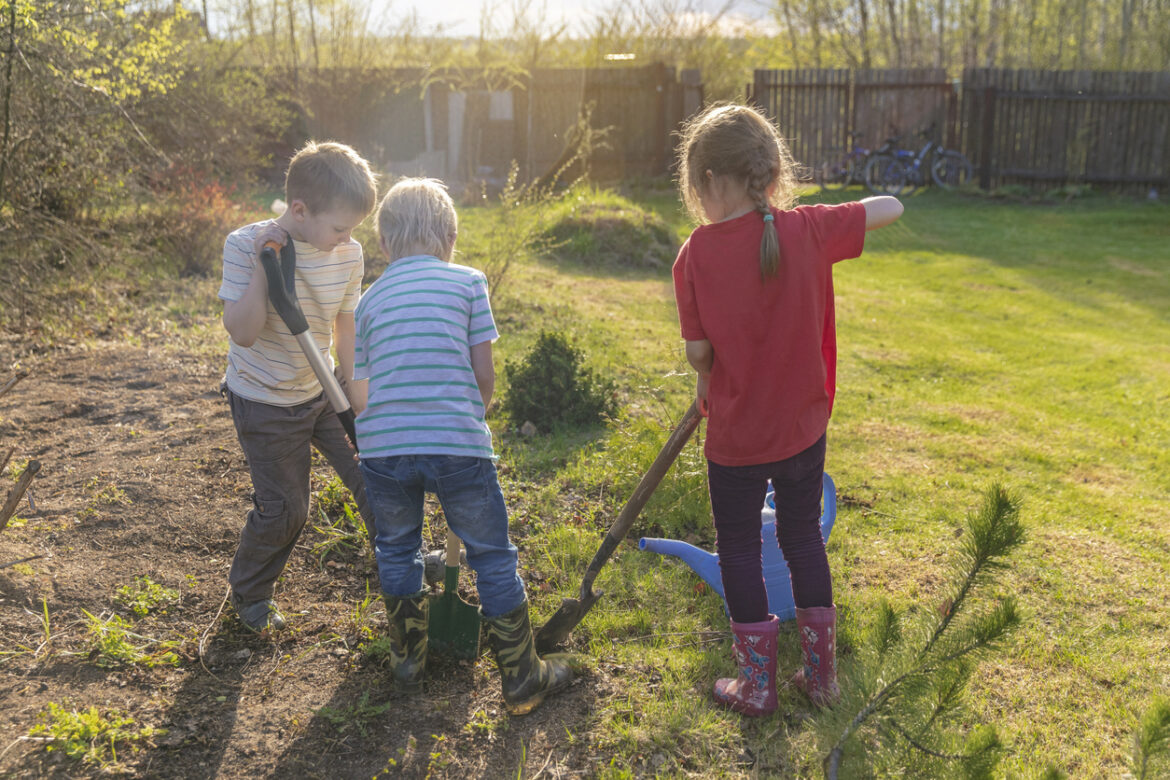 Toronto Gardening with Kids – SavvyMom Toronto Gardening with Kids - SavvyMom