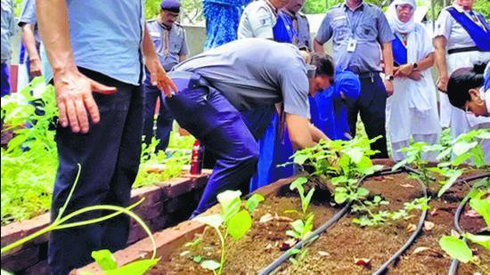 Under this programme, each school is allotting a plot of land on which students can plant, maintain and observe the growth of different crops. (HT Photo)