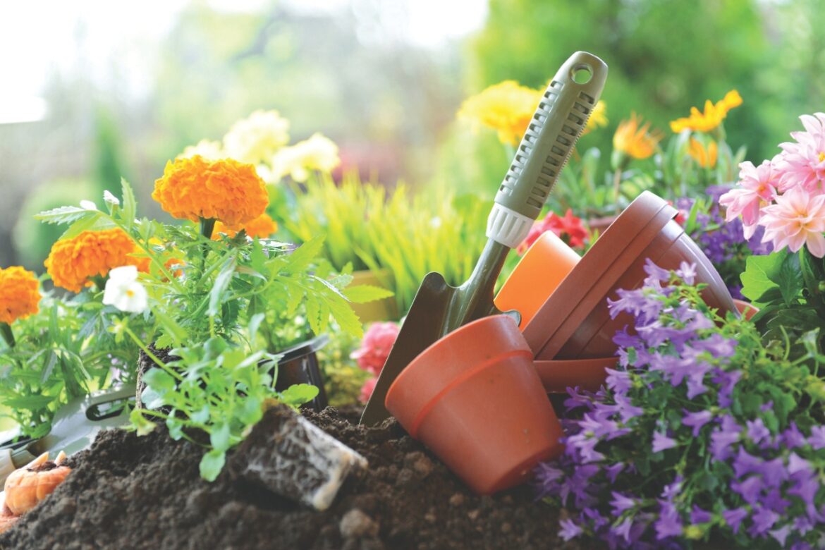 In the Garden with Andre Viette – Invasive Plants A flower garden with planters and a hand shovel.