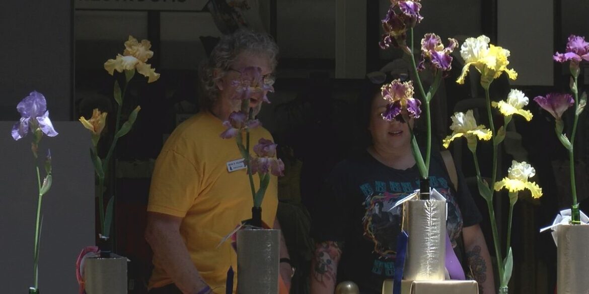 Flower growers show their efforts during show