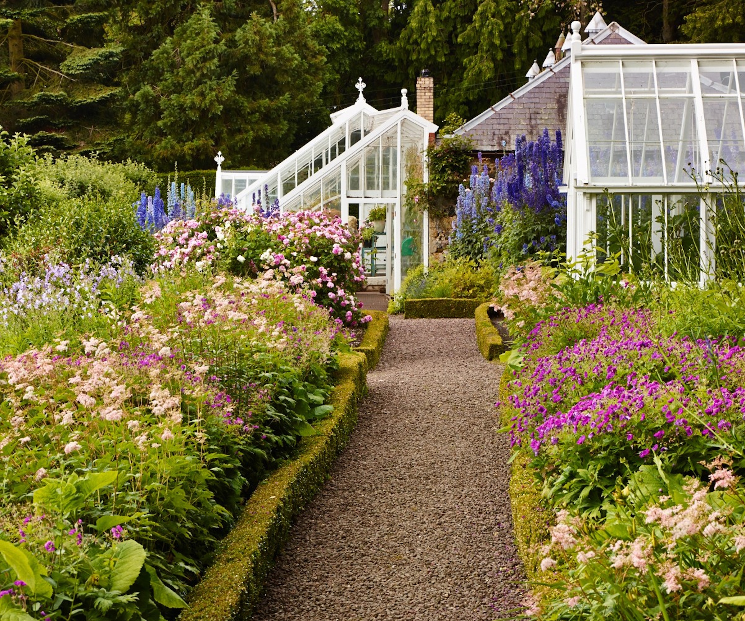 Garden borders full of colorful perennials and shrubs during summer