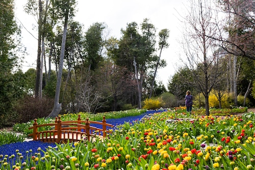 Mackinac Island Spring 2025