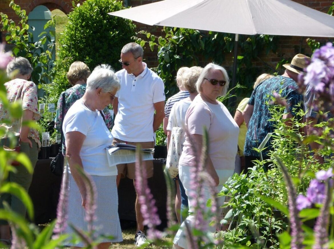 Historic walled kitchen garden opens for plant fair Nurses at Meadow Rose