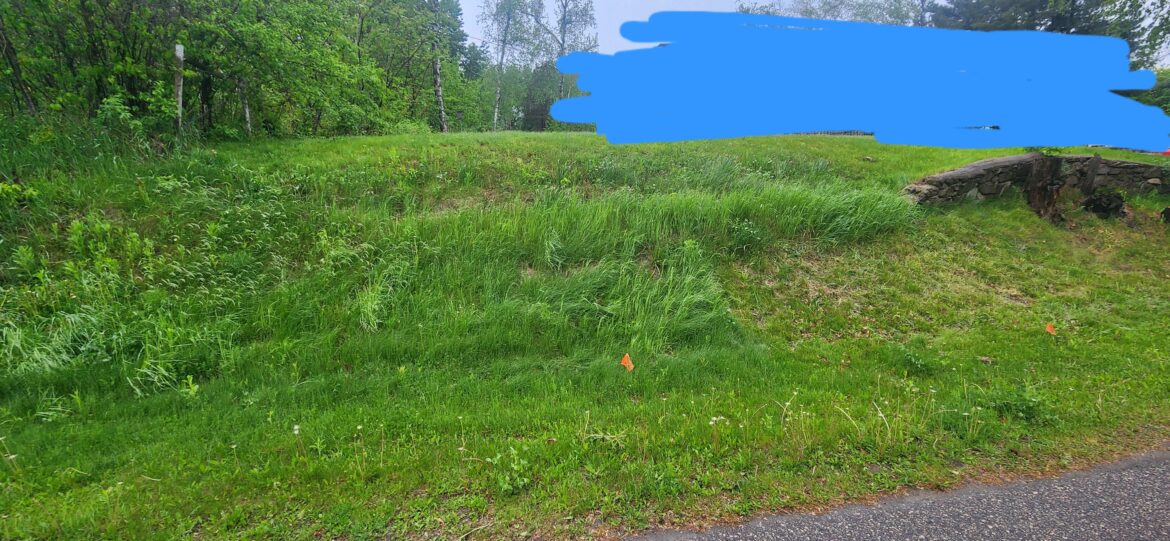 Looking for some guidance on converting grassy area to native plants...