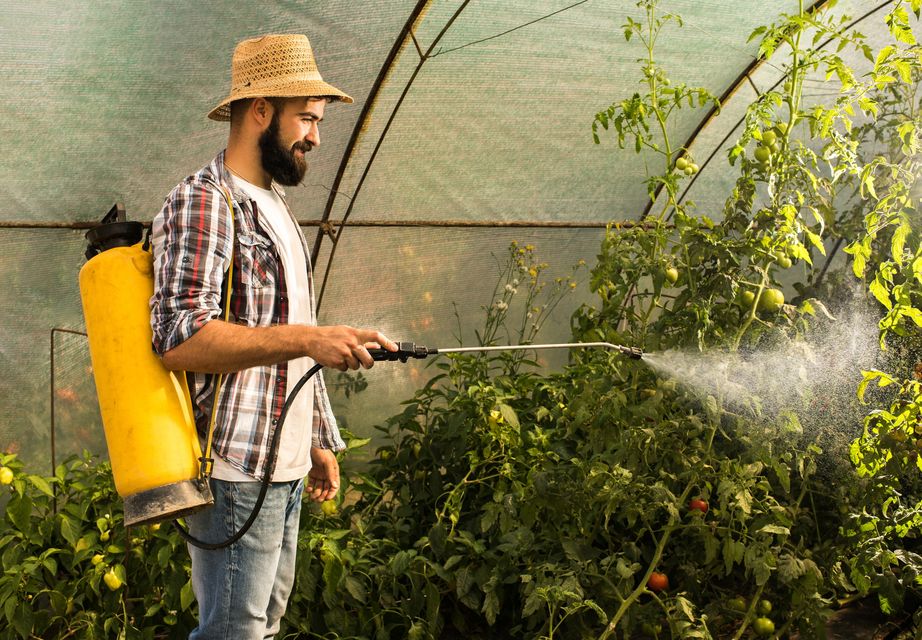Some lads think they're Robert Duvall in 'Apocalypse Now' and take on weeds like they’re the enemy. Photo: Getty