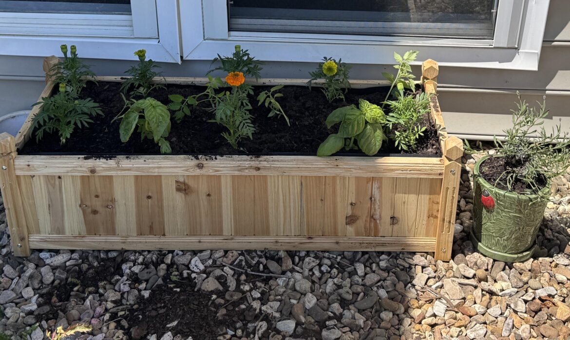 new to gardening.. too crowded? new to gardening.. too crowded?