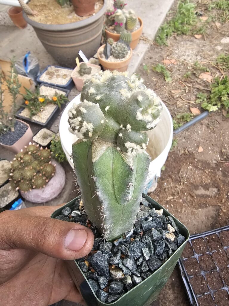 Another update