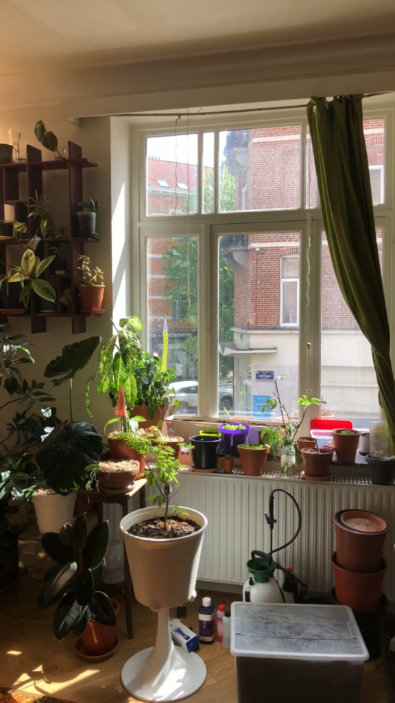 Advice needed Advice needed