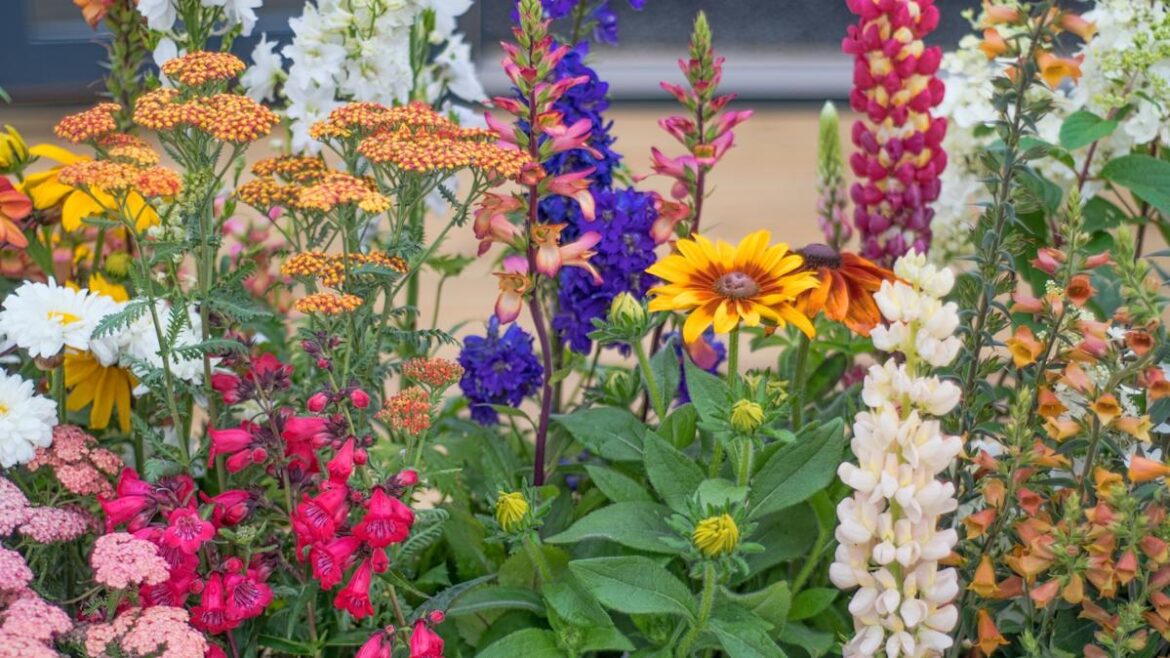 Everything you need to know about chaos gardening Yahoo lifestyle home