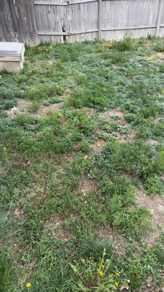 Yard work suggestions Yard work suggestions