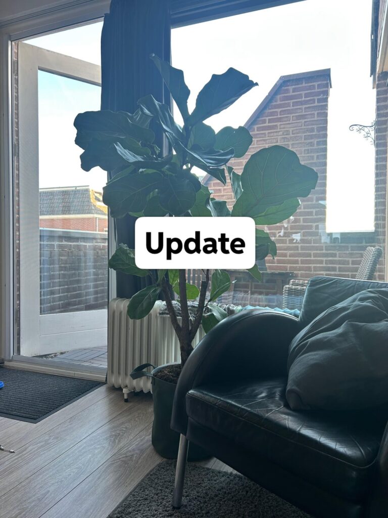 Update on previous thread