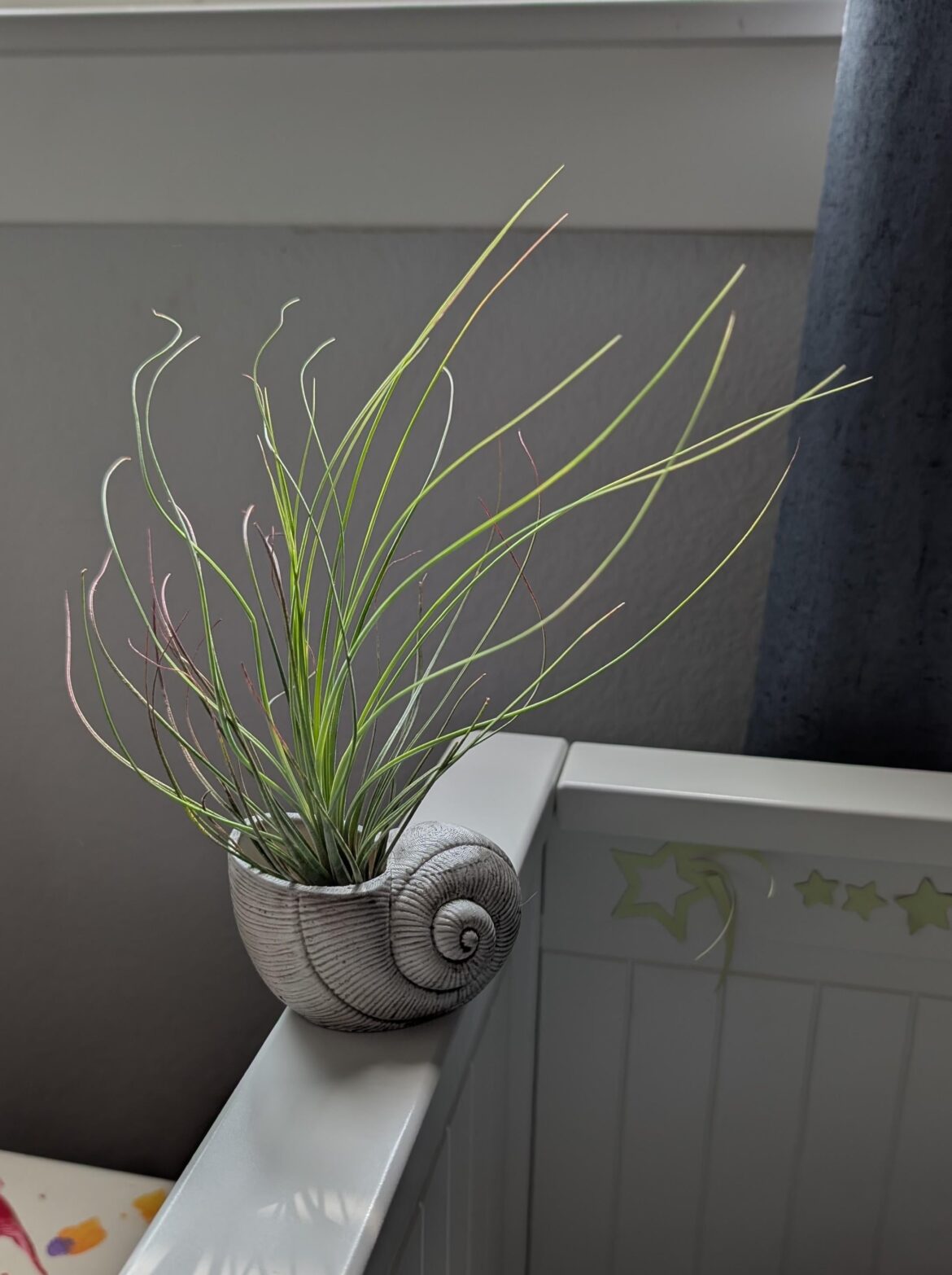3D Printed A Cute Little "Planter" For My Air Plant