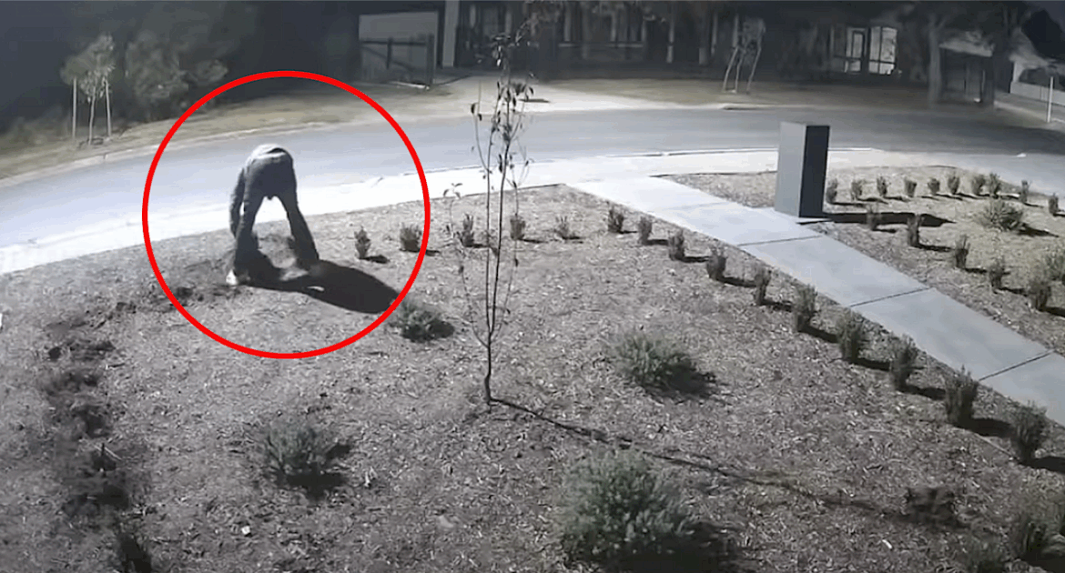 Aussie homeowners warned after ‘despicable’ late-night garden act in quiet suburb Aussie homeowners warned after ‘despicable’ late-night garden act in quiet suburb
