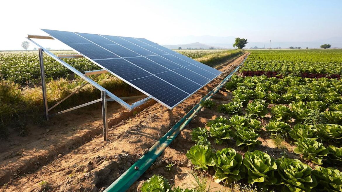 Researchers make groundbreaking discovery that solves pressing challenges for urban agriculture: ‘Transformative potential’ Researchers make groundbreaking discovery that solves pressing challenges for urban agriculture: 'Transformative potential'