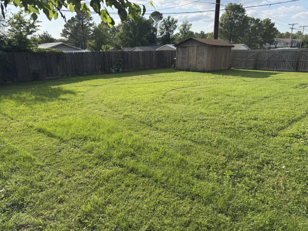 I mowed for the first time(Arkansas)