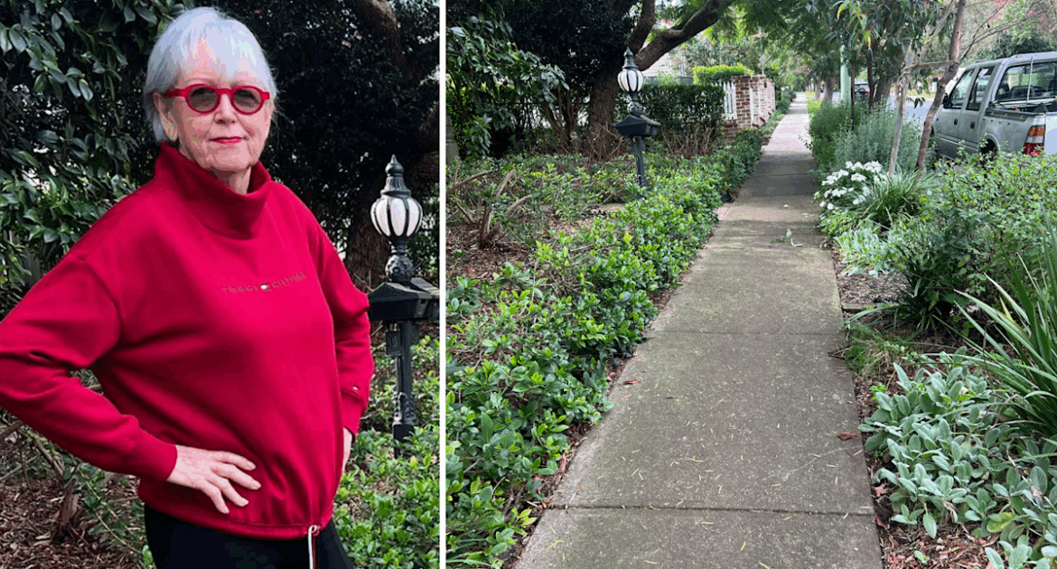 Resident’s kerbside garden under threat after anonymous council complaint: ‘Stupid rule’ Resident's kerbside garden under threat after anonymous council complaint: 'Stupid rule'
