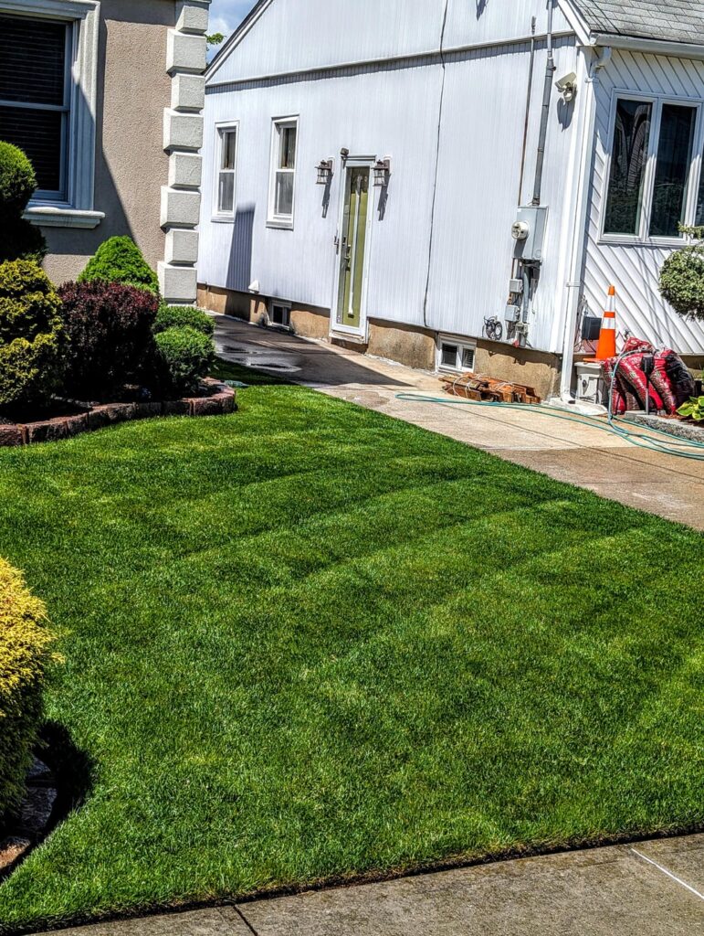 After years of getting robbed by a terrible landscaper... " I'll do it myself!". (Long Island, NY)