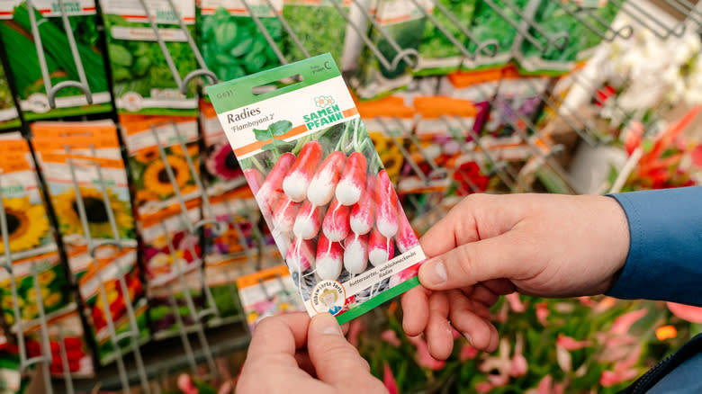 Person holding radish seed packet in store