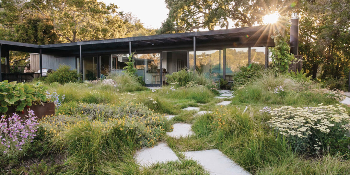 Christian Douglas Design