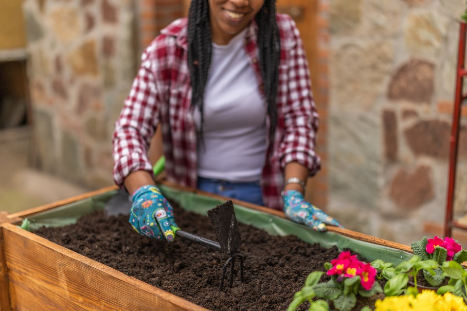 Gardener preparing soil in a raised garden bed.