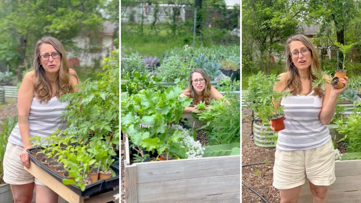 Gardener shares ‘game changer’ plant-growing method that helps harvests flourish: ‘Learn from my mistakes’ The process is an easy way to ensure better crops.