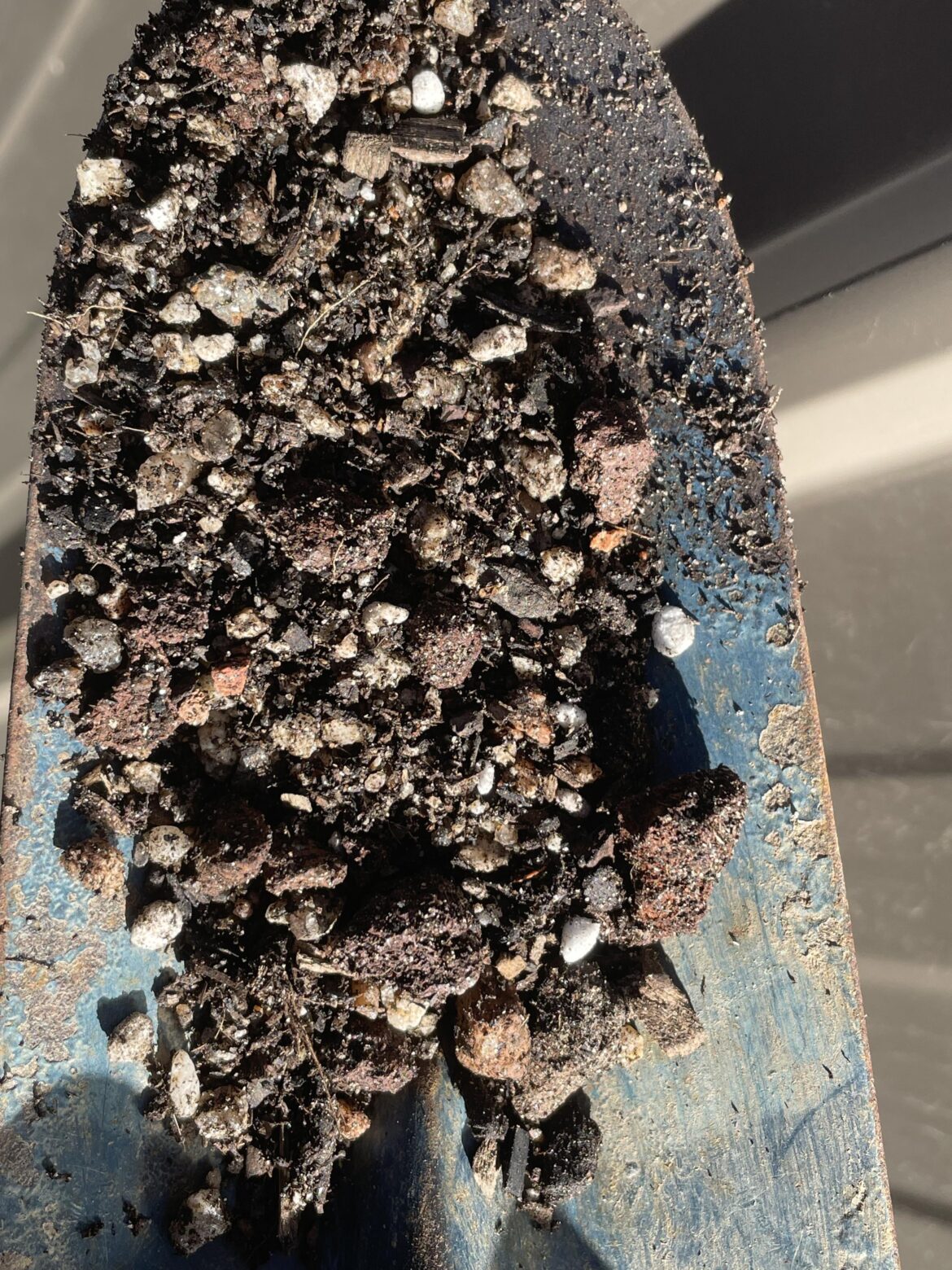 Does this soil mixture look appropriate for begonia dregei cuttings? Does this soil mixture look appropriate for begonia dregei cuttings?