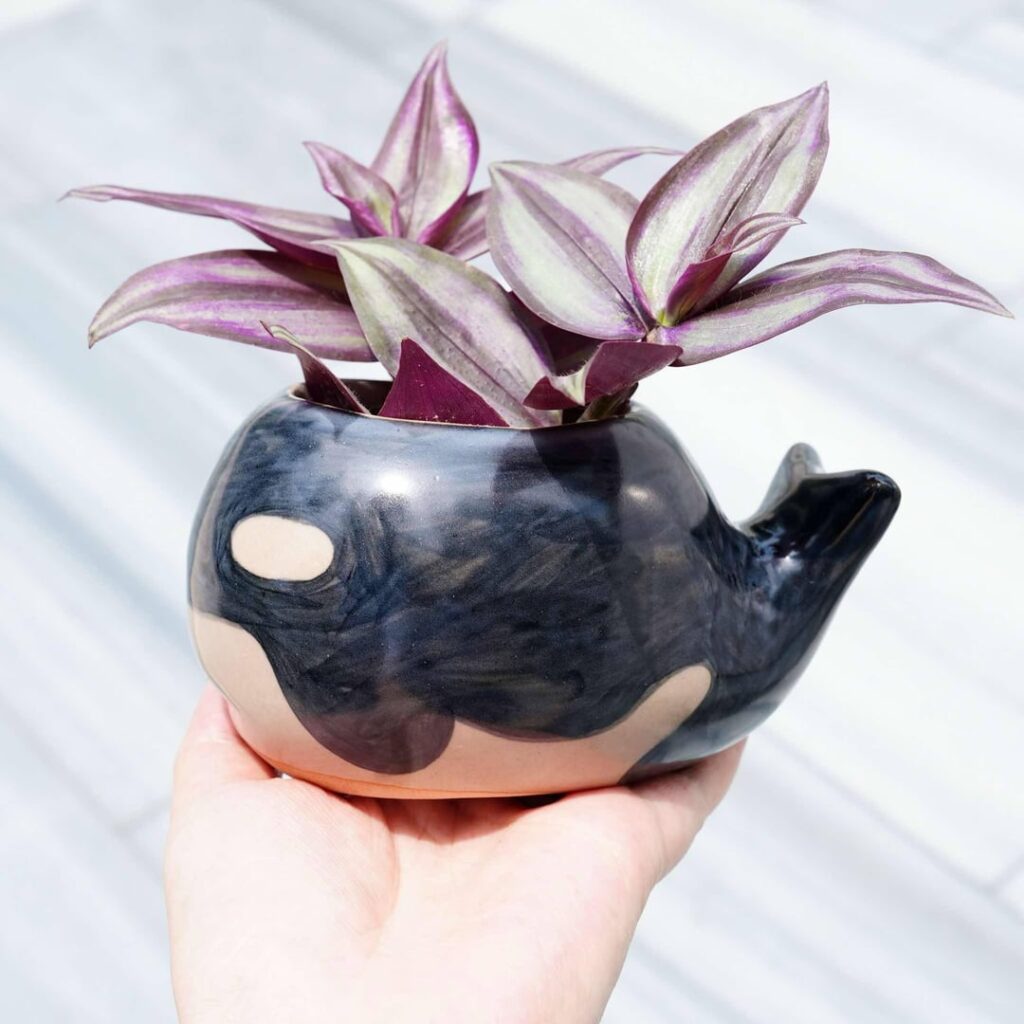 I thought you might appreciate this little Orca whale planter I made