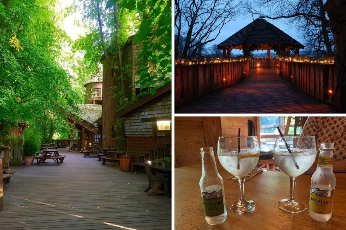 ‘Magical’ North East beer garden ‘like no other’ unveiled among the UK’s best The Northern Echo