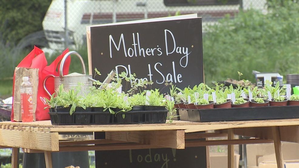 Portland students raise funds with gardening class amid budget concerns header logo