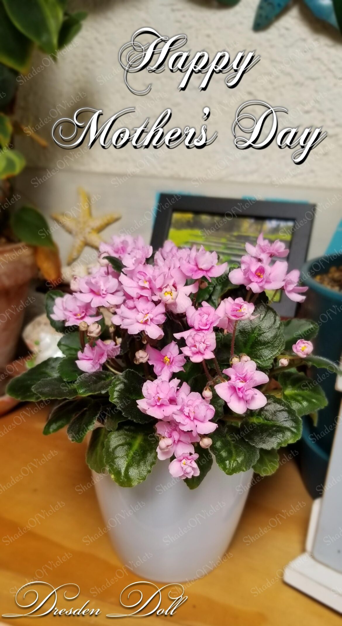 🌸Happy Mother's Day🌸