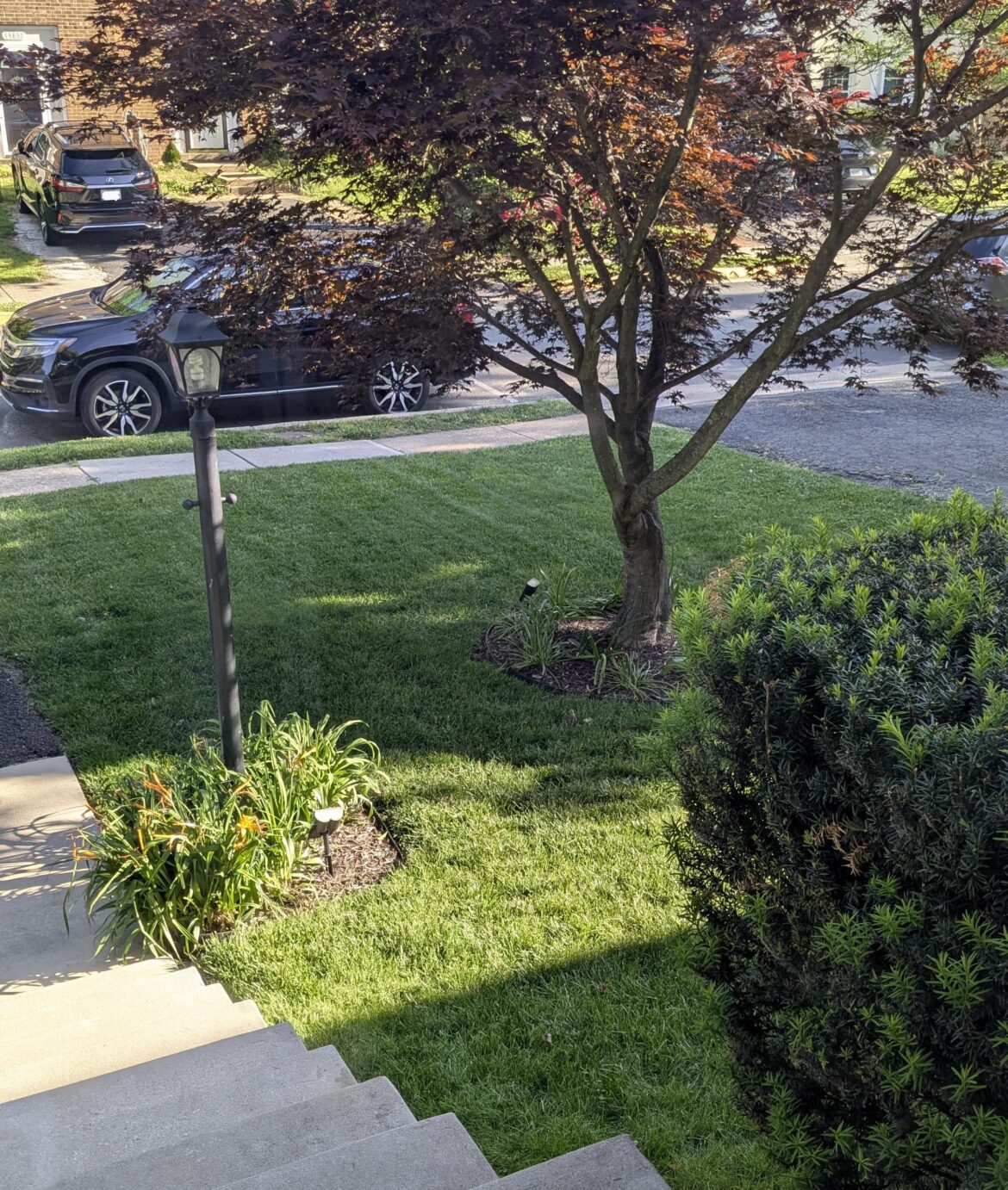 Townhomes can have nice lawns, too?