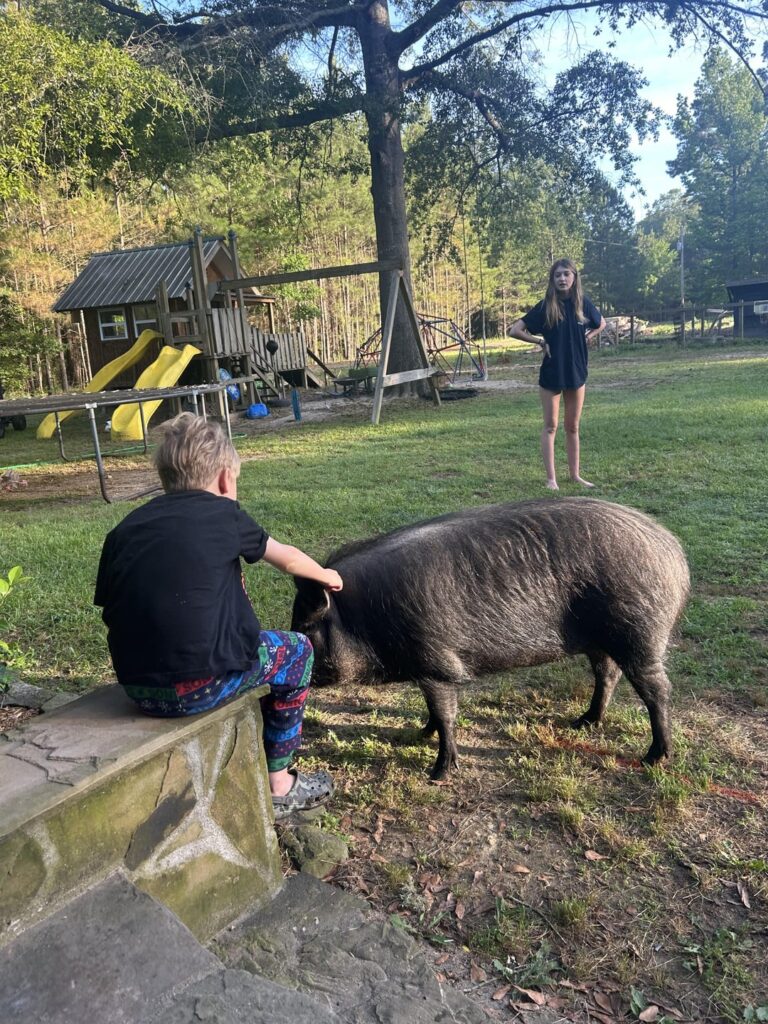 Help catching a pig Help catching a pig