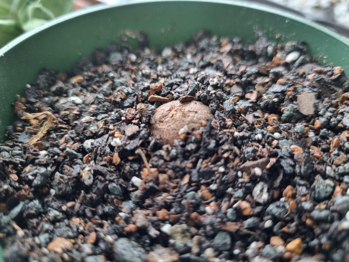 Am I doing this correctly? Am I doing this correctly?