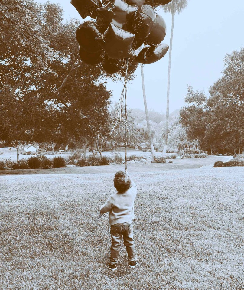 a little boy is holding a bunch of balloons in a park