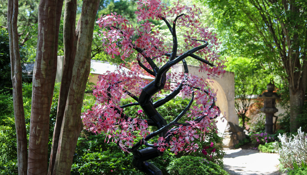 Atlanta Botanical Gardens Exhibition: Enchant… | 11/18/2025 8:00 AM Atlanta Botanical Gardens Exhibition: Enchant... | 05/29/2025 9:00 AM