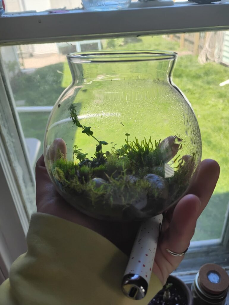 💚