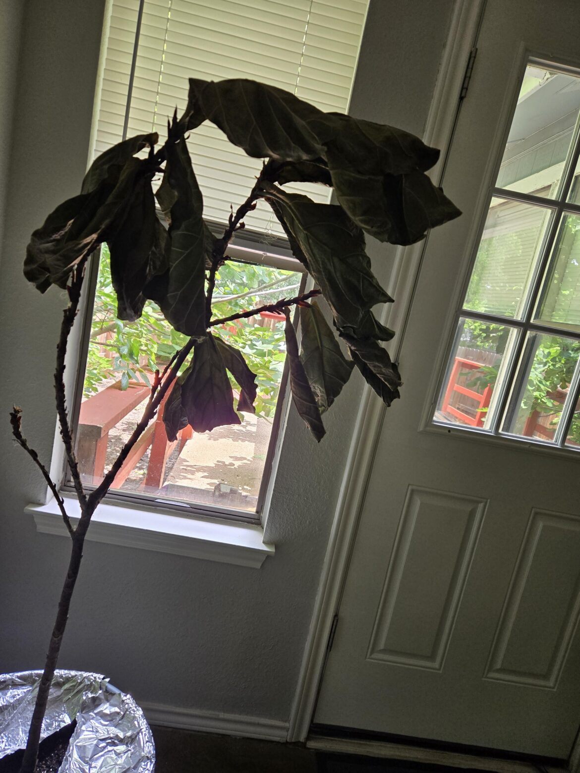 We moved in 100F weather We moved in 100F weather