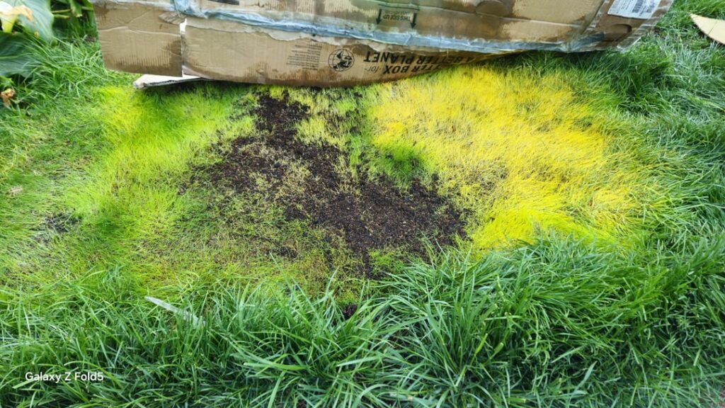Deep grass horizon accident Deep grass horizon accident