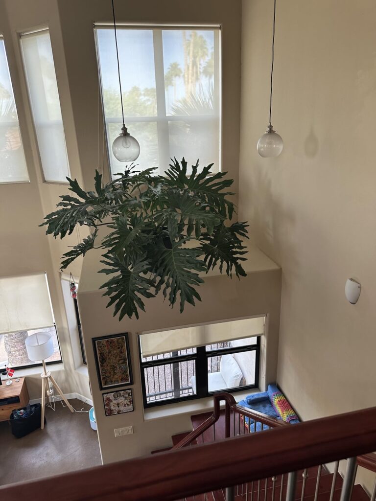 The perfect thing for my weird ledge