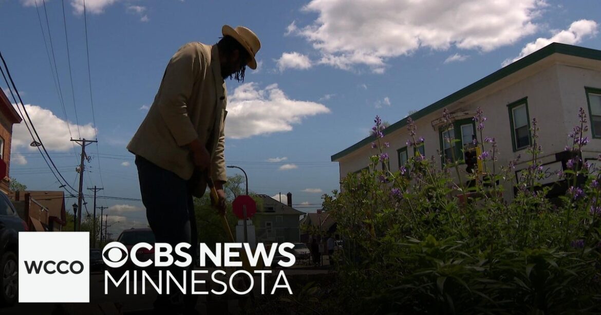 How a Minneapolis gardener is keeping George Floyd’s memory alive