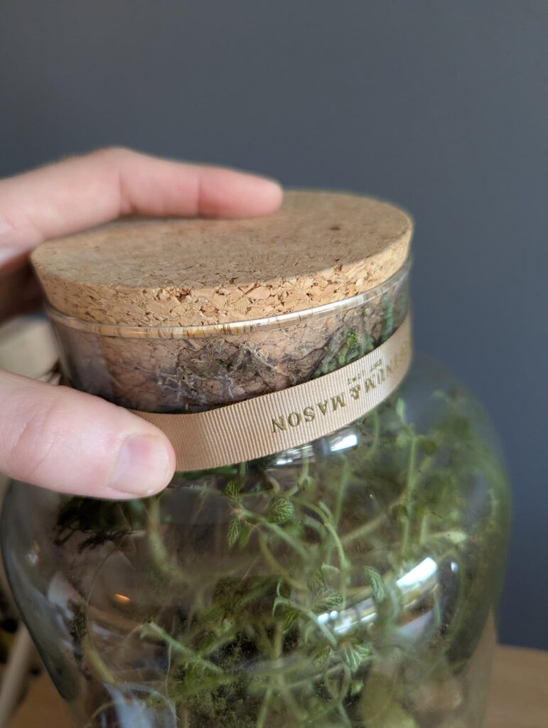 5 year old housewarming gift wilting 5 year old housewarming gift wilting