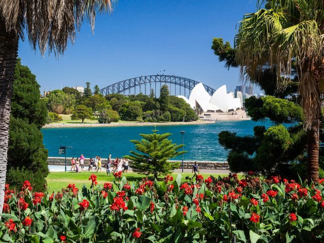 Sydney’s Royal Botanic Gardens.