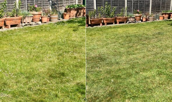 Before and after mowing lawn with Flymo UltraMow Duo 36v 460