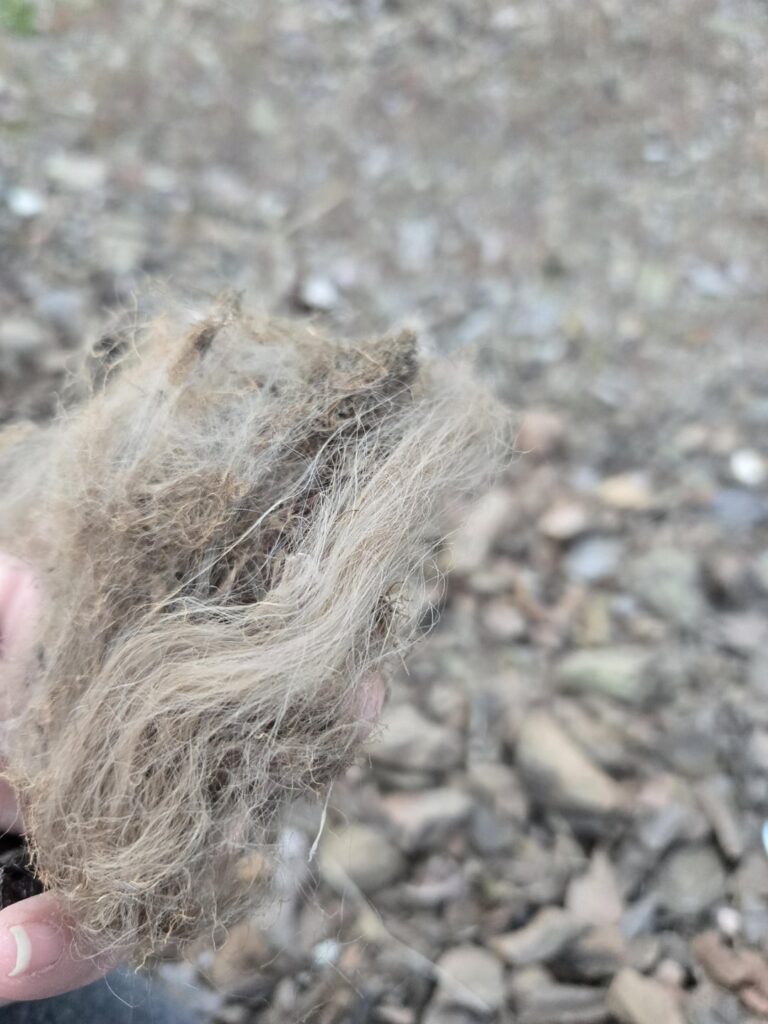 Found the disintegrating remains of weedblock fabric… Found the disintegrating remains of weedblock fabric...