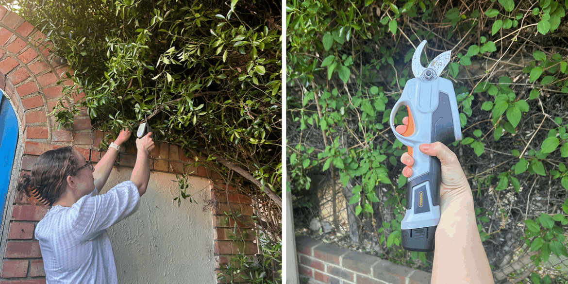 This £45 gardening tool cuts through thick foliage like butter