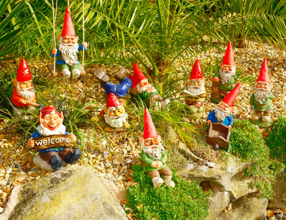Family of garden gnomes in a garden setting.