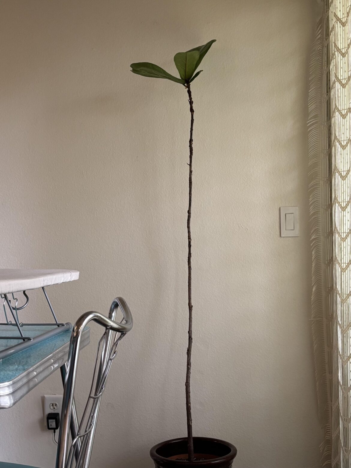 Please help me save this baby Please help me save this baby