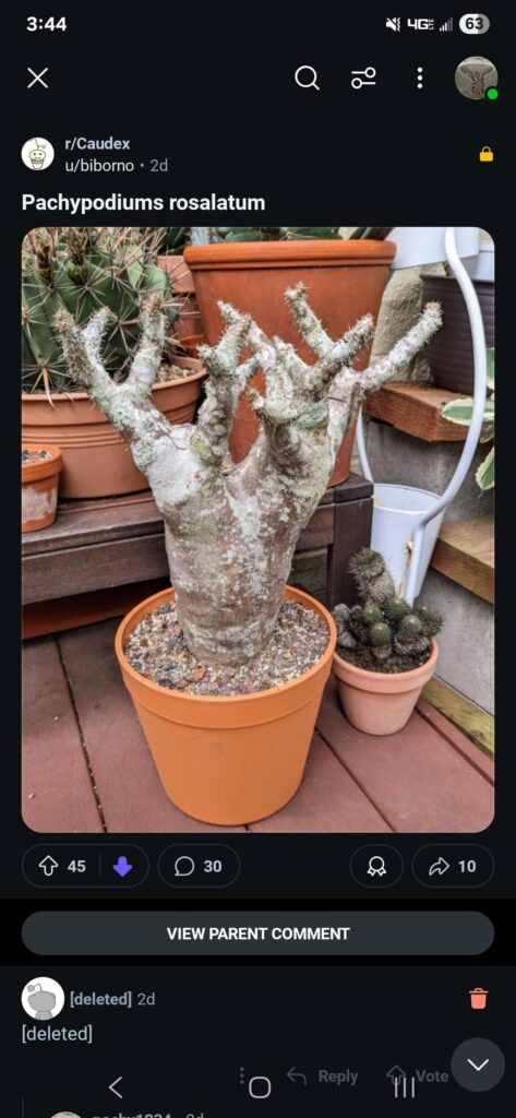 Our top poster is posting poached plants